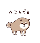 ◯SHIBAINUさん◯今なにしてる？（個別スタンプ：19）