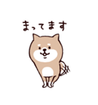 ◯SHIBAINUさん◯今なにしてる？（個別スタンプ：26）