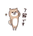 ◯SHIBAINUさん◯今なにしてる？（個別スタンプ：35）