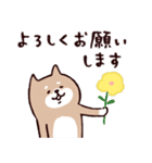 ◯SHIBAINUさん◯今なにしてる？（個別スタンプ：40）