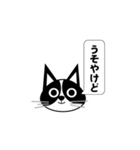 関西弁ハチワレの日常会話（個別スタンプ：15）