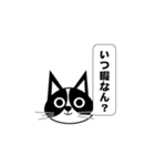 関西弁ハチワレの日常会話（個別スタンプ：34）