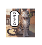 エモくて可愛い猫（個別スタンプ：9）