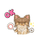 My Dog Stickers-Mugi-（個別スタンプ：3）