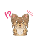 My Dog Stickers-Mugi-（個別スタンプ：4）