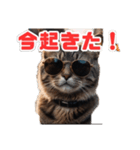 ねこねこ飼ってみないかい⁇（個別スタンプ：1）