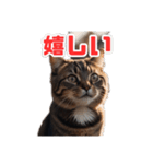 ねこねこ飼ってみないかい⁇（個別スタンプ：3）