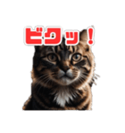 ねこねこ飼ってみないかい⁇（個別スタンプ：4）