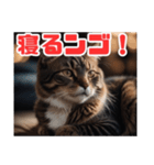 ねこねこ飼ってみないかい⁇（個別スタンプ：5）