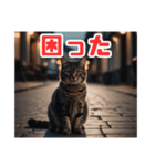 ねこねこ飼ってみないかい⁇（個別スタンプ：6）