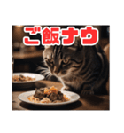 ねこねこ飼ってみないかい⁇（個別スタンプ：7）