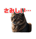 ねこねこ飼ってみないかい⁇（個別スタンプ：9）
