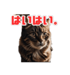 ねこねこ飼ってみないかい⁇（個別スタンプ：11）