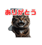 ねこねこ飼ってみないかい⁇（個別スタンプ：13）