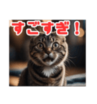 ねこねこ飼ってみないかい⁇（個別スタンプ：14）