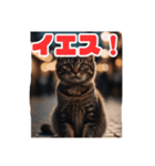 ねこねこ飼ってみないかい⁇（個別スタンプ：16）