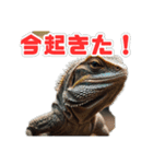 爬虫類パラダイス（個別スタンプ：2）