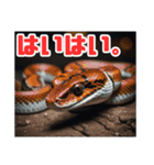 爬虫類パラダイス（個別スタンプ：13）