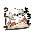 シーズー犬『食べ物ダジャレ』よく使う言葉（個別スタンプ：27）