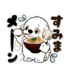 シーズー犬『食べ物ダジャレ』よく使う言葉（個別スタンプ：35）