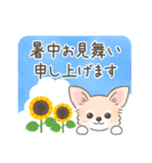 【夏の会話】可愛いチワワ犬ちゃん（個別スタンプ：16）