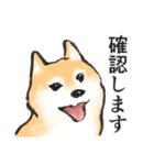 柴犬敬語スタンプ（個別スタンプ：1）