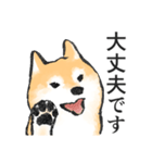 柴犬敬語スタンプ（個別スタンプ：2）