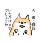 柴犬敬語スタンプ（個別スタンプ：8）