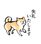 柴犬敬語スタンプ（個別スタンプ：11）