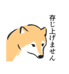 柴犬敬語スタンプ（個別スタンプ：16）