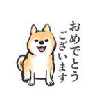 柴犬敬語スタンプ（個別スタンプ：20）