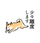 柴犬敬語スタンプ（個別スタンプ：24）