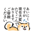 柴犬敬語スタンプ（個別スタンプ：27）