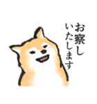 柴犬敬語スタンプ（個別スタンプ：34）