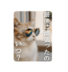 危機感あるメンズコーチ猫（個別スタンプ：5）