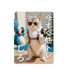 危機感あるメンズコーチ猫（個別スタンプ：13）