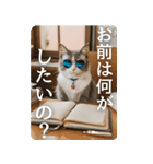 危機感あるメンズコーチ猫（個別スタンプ：17）