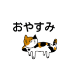 とてもよく使える動物たち（個別スタンプ：13）