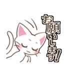 働くしろねこちゃん（個別スタンプ：2）