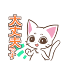 働くしろねこちゃん（個別スタンプ：3）