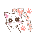 働くしろねこちゃん（個別スタンプ：4）