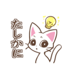 働くしろねこちゃん（個別スタンプ：14）