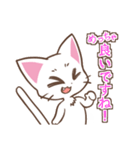 働くしろねこちゃん（個別スタンプ：16）