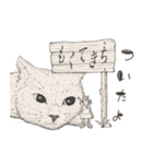 猫と小さな勇者（個別スタンプ：8）