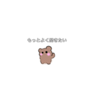 ゆるいくまぴ（個別スタンプ：2）