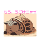 あんまねこスタンプ（個別スタンプ：5）