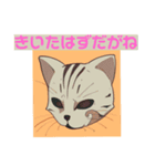 あんまねこスタンプ（個別スタンプ：8）