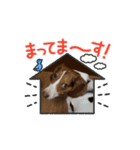 動くEMMAスタンプ（個別スタンプ：12）