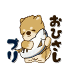 柴犬『食べ物のダジャレ』よく使う言葉（個別スタンプ：5）