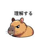 機嫌が悪いカピバラ（個別スタンプ：14）